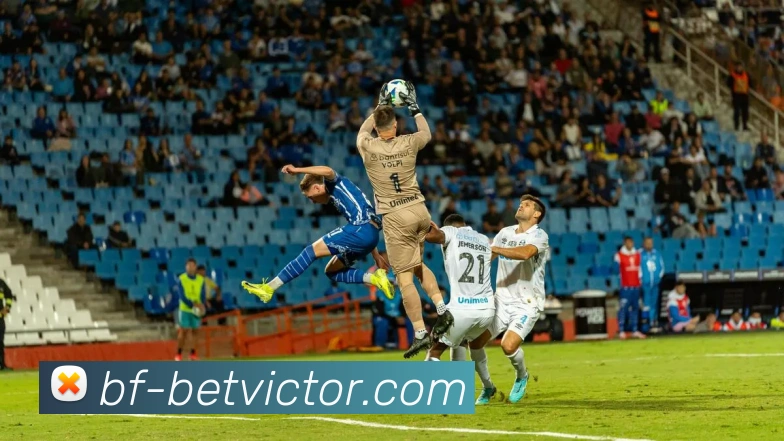 betvictor伟德官网平台生态图