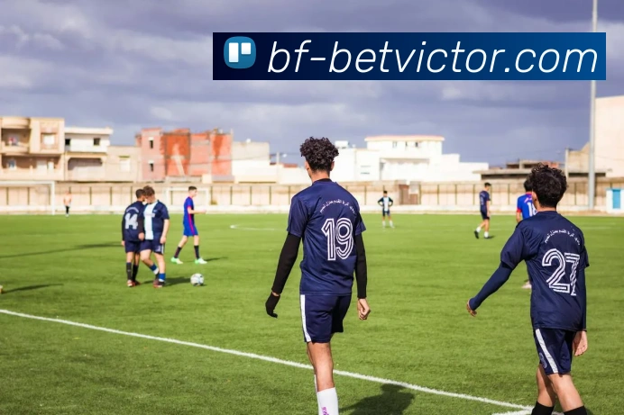 betvictor伟德官网全站App